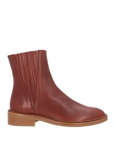 Zinda Woman Ankle Boots Tan Size 7 Leather In Multi
