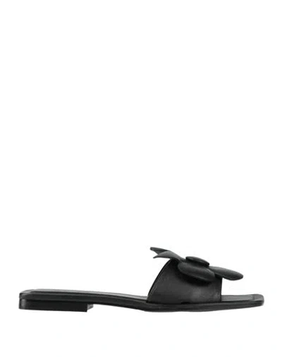 Zinda Woman Sandals Black Size 8 Leather