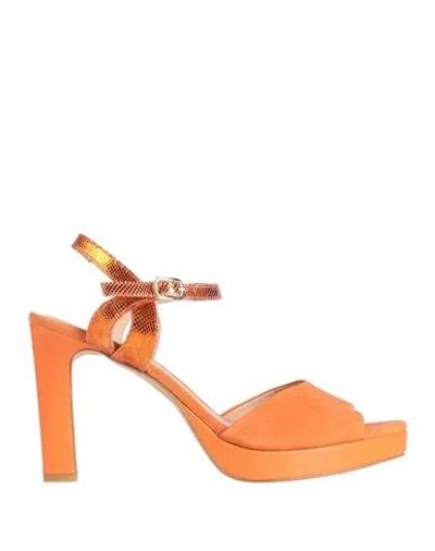 Zinda Woman Sandals Orange Size 8 Leather