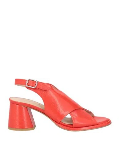 Zinda Woman Sandals Red Size 8 Leather