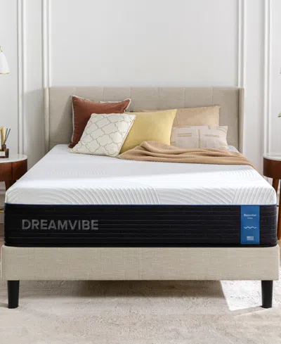 Zinus Dreamvibe Essential 12" Hybrid Medium Plush Tight Top Mattress In A Box, Queen In Transparent