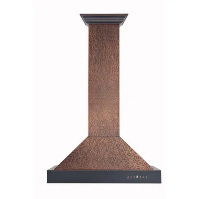 Zline 36 In. Convertible Vent Designer Series Wall Mount Range Hood In Hand-hammered Copper,oil-rubbed Bronze