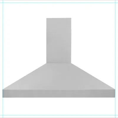 Zline 48 In. Professional Convertible Vent Wall Mount Range Hood In Stainless Steel (597-48)