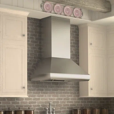 Zline 48 In. Professional Ducted Wall Mount Range Hood In Stainless Steel (687-48)