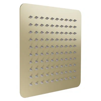 Zline Bliss 8 In. Shower Head In Champagne Bronze (bls-h8-cb) In Gold
