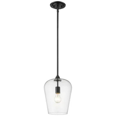 Z-lite 1 Light Pendant In Matte Black Finish