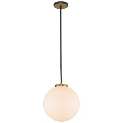 Z-lite 1 Light Pendant In Matte Black + Olde Brass Finish