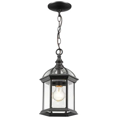 Z-lite Annex By  Black 8 Inch 1 Light Outdoor Chain