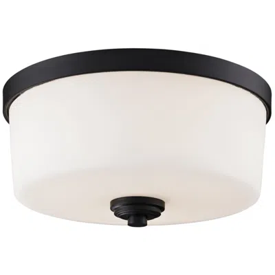 Z-lite Arlington 14" Wide Oil-rubbed Bronze Ceiling Light