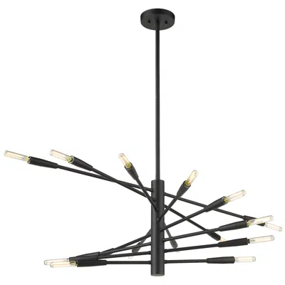 Z-lite Ascension 32" Wide Matte Black 16-light Chandelier