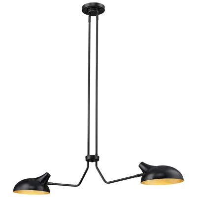 Z-lite Bellamy By  Matte Black 9.5 Inch 2 Light Island