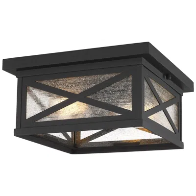 Z-lite Brookside 12" Wide Black 2-light Outdoor Ceiling Light