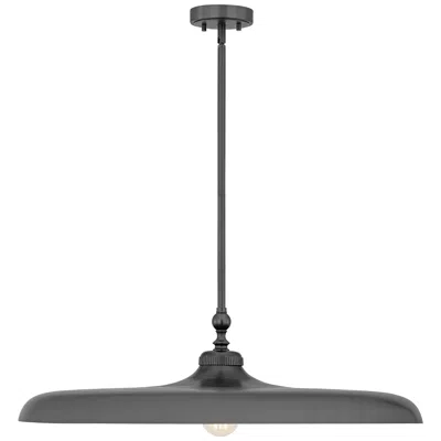 Z-lite Camden  By   1 Light Pendant In Black