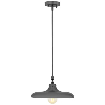 Z-lite Camden  By   1 Light Pendant