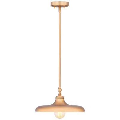 Z-lite Camden  By   1 Light Pendant