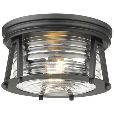 Z-lite Cape Harbor 12"w Matte Black 2-light Ceiling Light