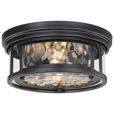 Z-lite Clarion 12" Wide Matte Black 2 Light Flush Mount Ceiling Light