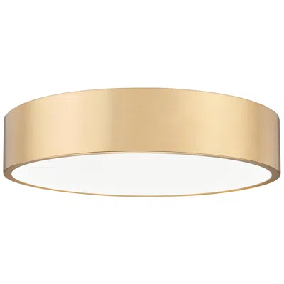 Z-lite Coronado 20" Wide Modern Gold Led Ceiling Light