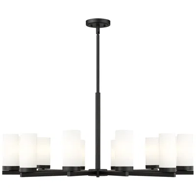 Z-lite Danica By  Matte Black 39 Inch 12 Light Chandelier