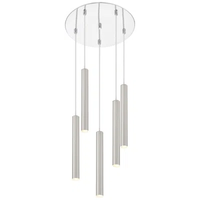 Z-lite Forest By  Chrome 5 Light Chandelier