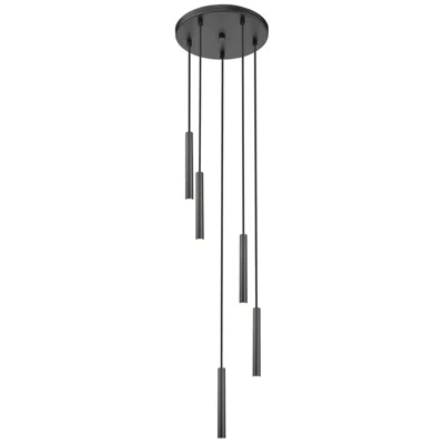 Z-lite Forest By  Matte Black 12 Inch 5 Light Chandelier