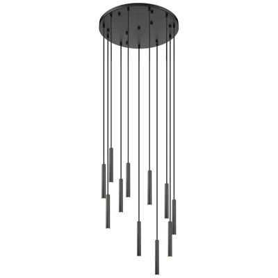 Z-lite Forest By  Matte Black 24 Inch 11 Light Chandelier