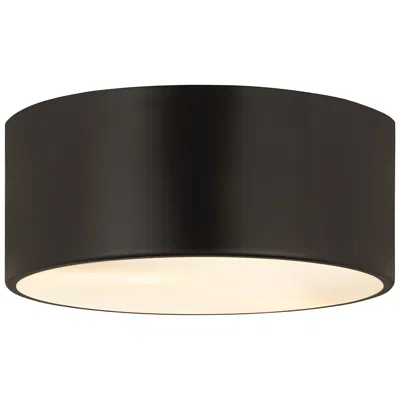 Z-lite Harley 12" Wide Matte Black 2-light Flush Mount Ceiling Light