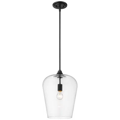 Z-lite Joliet By  Matte Black 12 Inch 1 Light Pendant