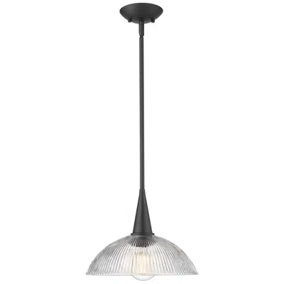 Z-lite Lunelle  By   1 Light Pendant In Animal Print