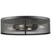 Z-lite Meshsmith 21" Wide Bronze 4-light Ceiling Light
