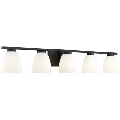 Z-lite Naya By  Matte Black 5 Light Vanity