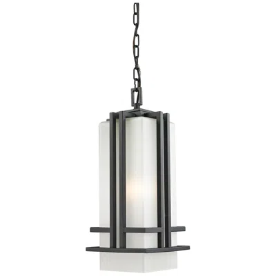 Z-lite Outdoor Chain Light In Black Finish