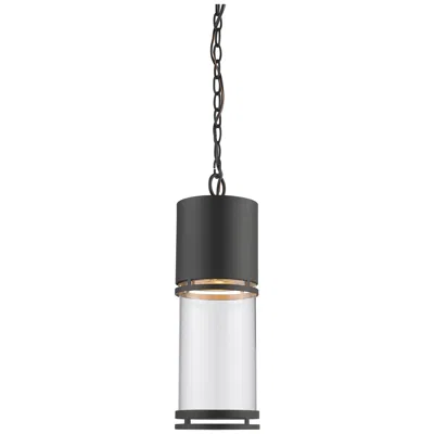 Z-lite Outdoor Led Chain Hung Light In Black Finish