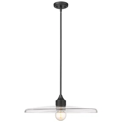 Z-lite Paloma By  Matte Black 24 Inch 1 Light Pendant