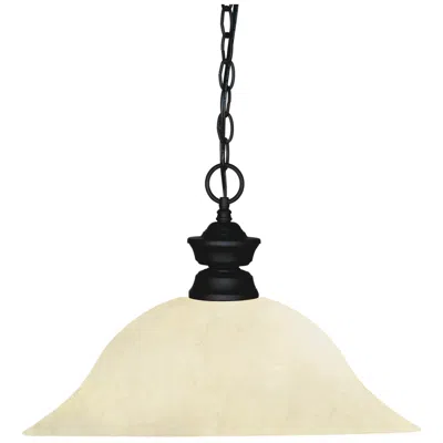 Z-lite Shark By  Matte Black 1 Light Pendant
