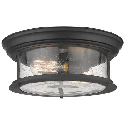 Z-lite Sonna 13 1/2" Wide Matte Black 2-light Ceiling Light
