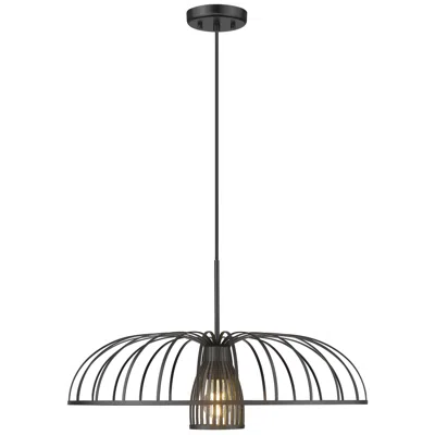 Z-lite Valencia  By   1 Light Pendant In Black