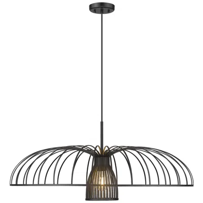 Z-lite Valencia  By   1 Light Pendant In Black