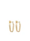 Zoë Chicco 14kt Yellow Gold Curb-chain Diamond Earrings In Gold