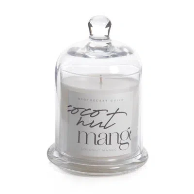 Zodax Coconut Mango Scented Jar Candle In Clear