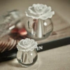 Zodax Diffuser In White;clear