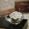 Zodax Dream Porcelain Diffuser In White