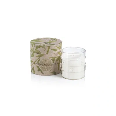 Zodax Grand Casablanca Scented Jar Candle, Wild Tuberose In White;clear