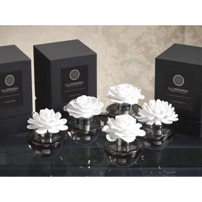 Zodax Illuminaria Laurel Magnolia Fragrance Porcelain Diffuser
