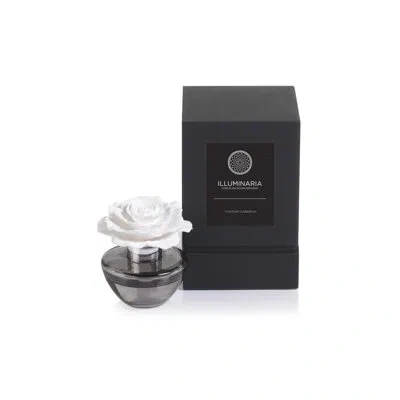 Zodax Illuminaria Tahitian Gardenia Fragrance Porcelain Diffuser