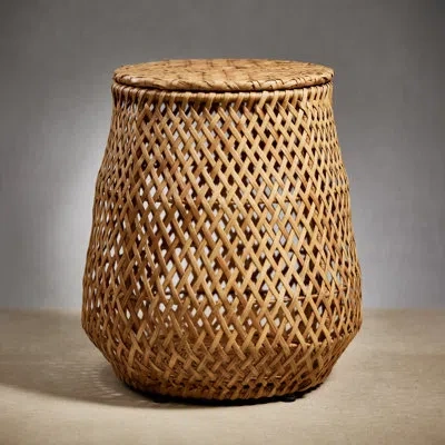 Zodax Larissa Handcrafted Rattan Stool And Storage In Brown