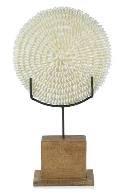 Zodax Natural Clamrose Sea Shell Décor In White