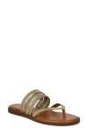 Zodiac Cary Thong Sandal In Gold Metallic