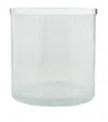 Zodiac Cracked Crystal Bin In Silver