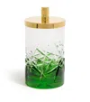 Zodiac Crystal Ivy Green Jar With Lid In Multi